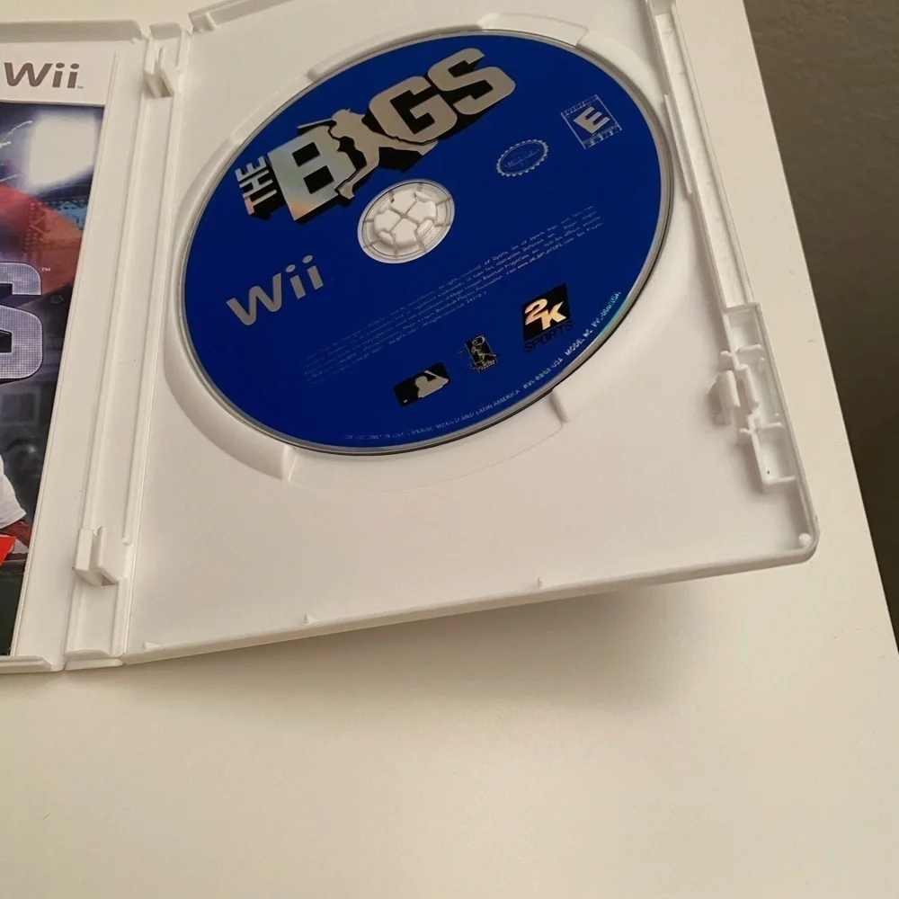 Wii The Bigs baseball game